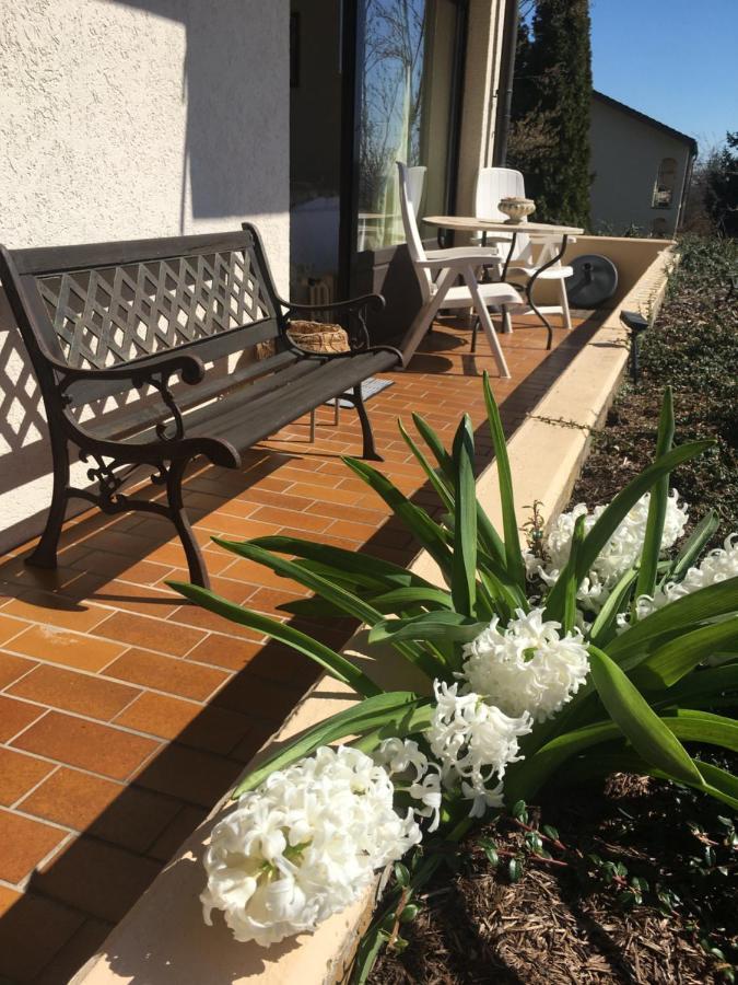 Exklusives Apartment In Bad Saeckingen Fuer 2 Person מראה חיצוני תמונה
